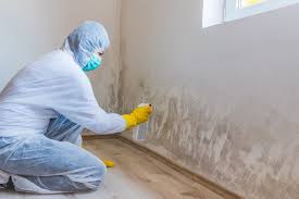 Professional Mold Inspection in Piqua, OH